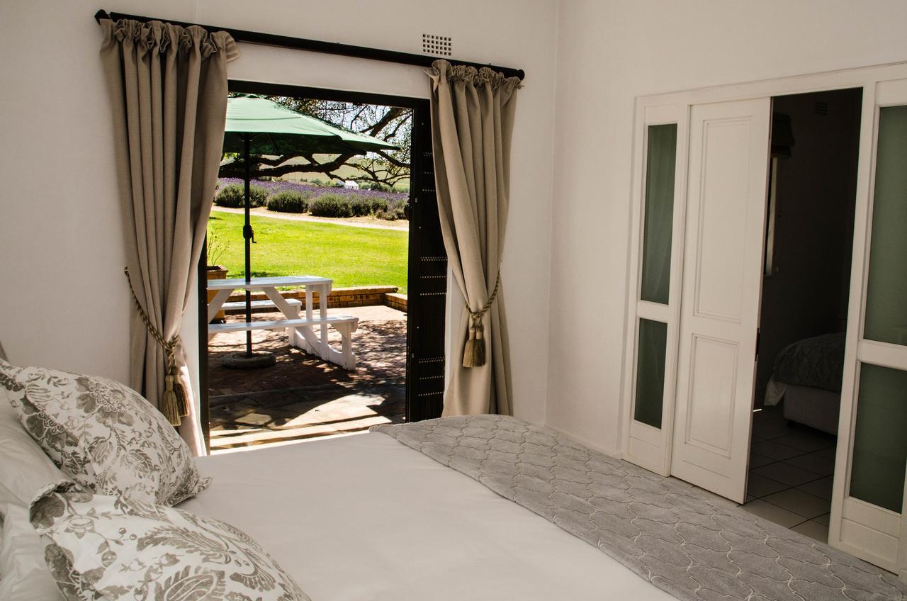 Lavinia Lifestyle Villa Stellenbosch Ngoại thất bức ảnh